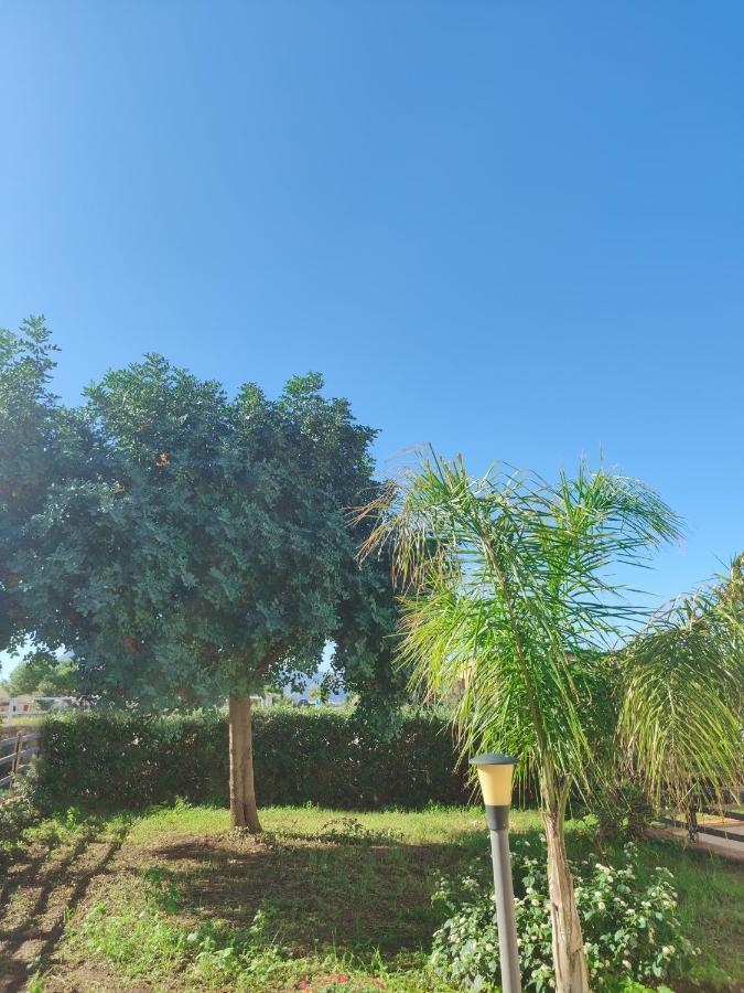 Villa Castiglione كوستوناتشي المظهر الخارجي الصورة